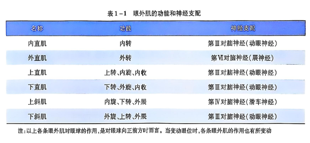 1-1 眼外肌的功能和神经支配.PNG