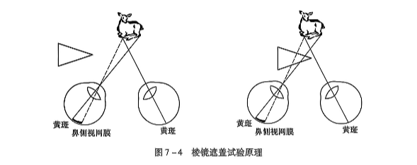 7-4棱镜遮盖试验原理.PNG